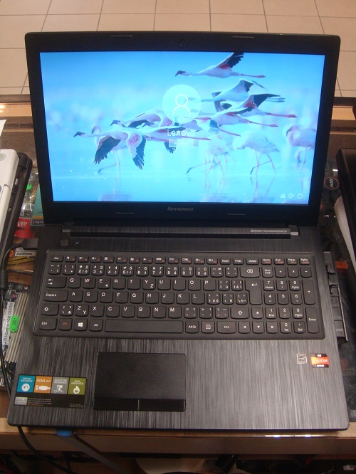 LENOVO G505s