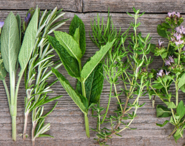 Koření – konzervant i lék