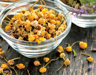 Heřmánek, šalvěj, řepík