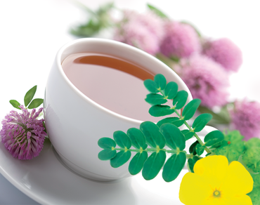 Kotvičník - elixír nejen pro muže 