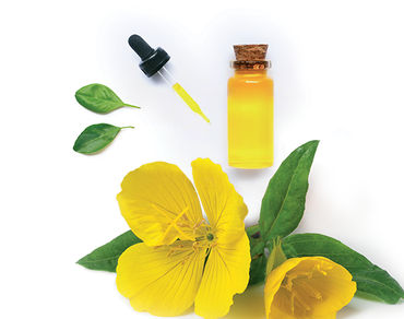 Pečující oleje v kosmetice