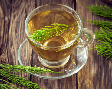 Přeslička, zlatobýl, vrbovka