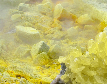 Síra v boji se svrabem