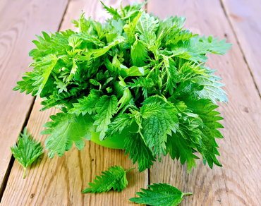 Kopřiva a červená řepa 