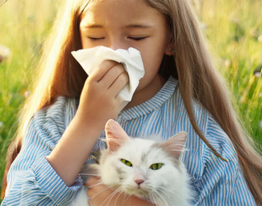 Ucpaný nos po celý rok