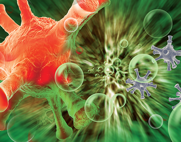 Mikrobi jsou živé organismy a vegetují všude kolem nás.<br/> Včetně nás samých.