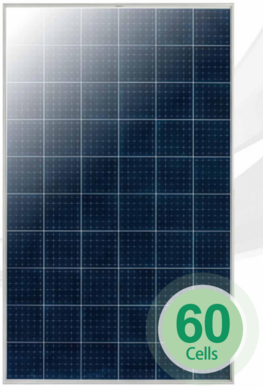 Solární panel Phono-Solar PS305P-20/UM 305 Wp