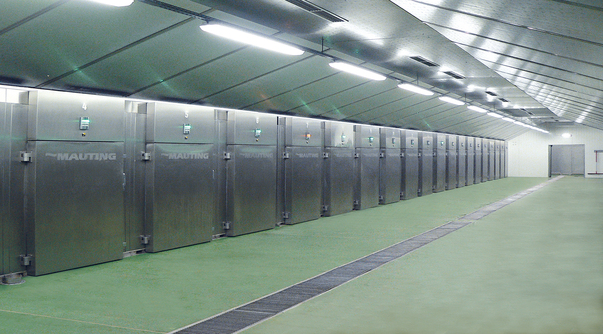 Chilling chambers Mauting ZKM 2004 Chilling chambers Mauting